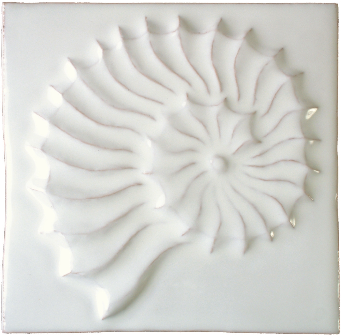 Impressions - Fruits de Mer Fossil White Hand made by Tiles of Stow