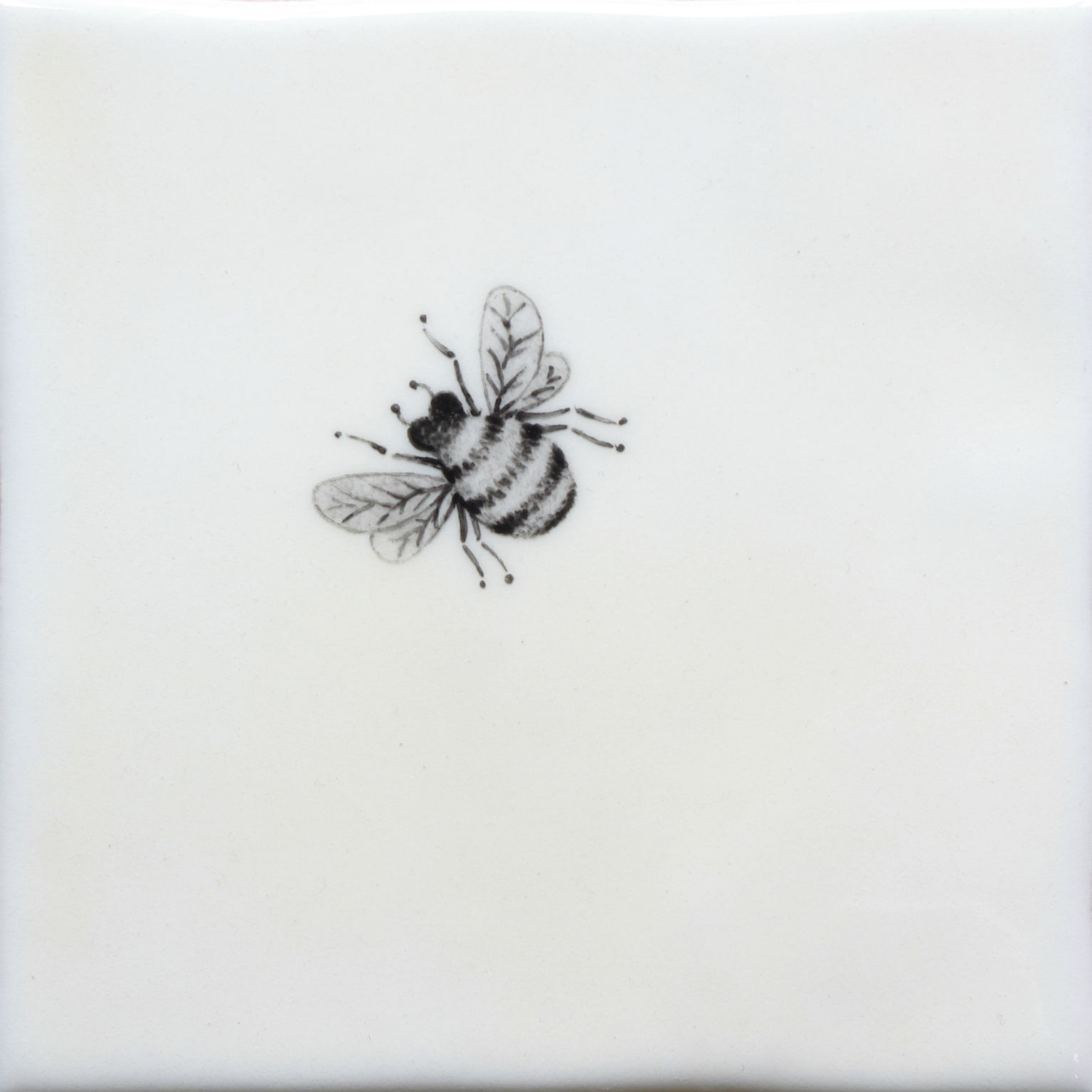 Hand painted Tiles - Bugs & Insects - Black & White Tiles of Stow