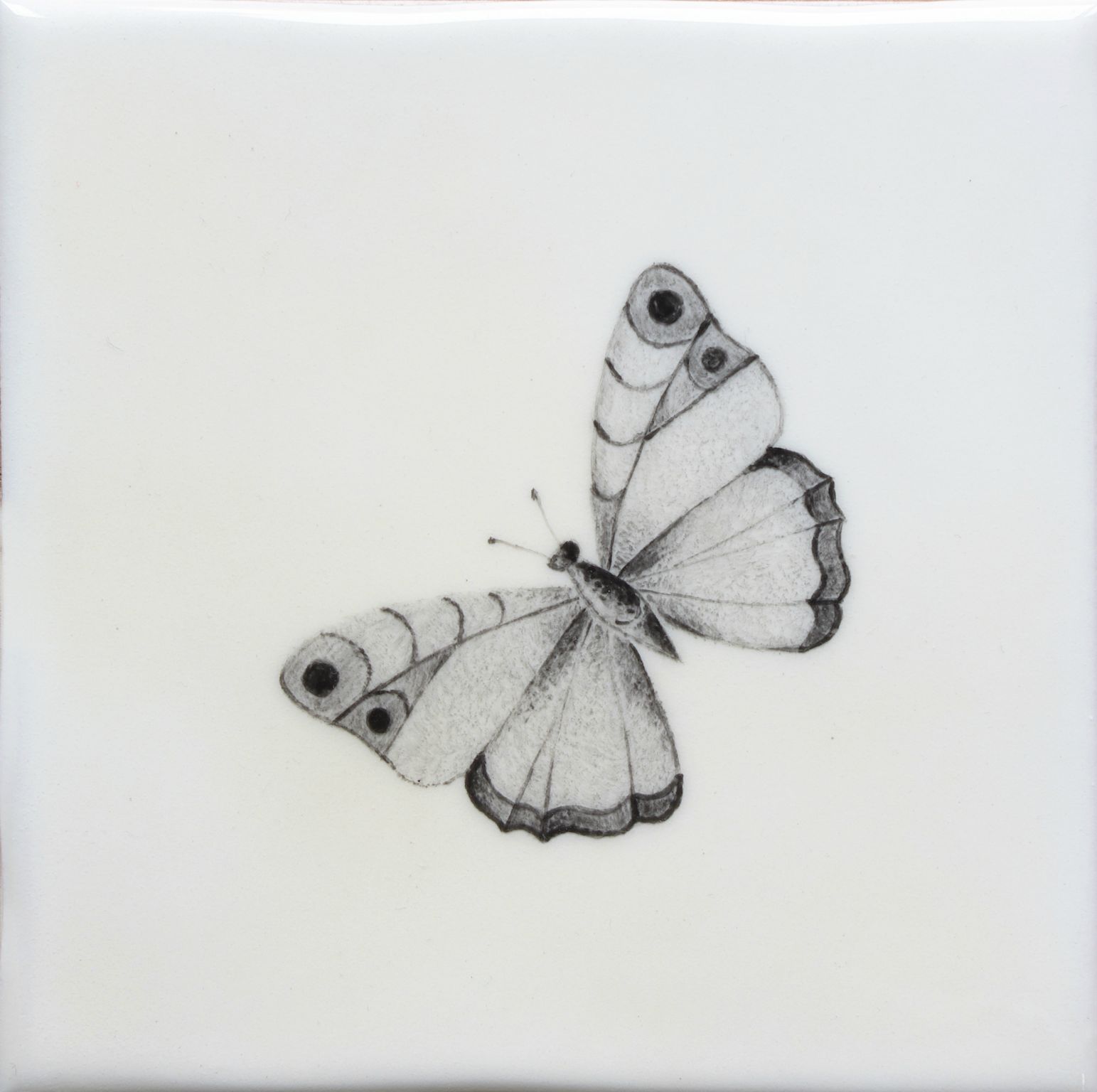 Hand painted Tiles - Bugs & Insects - Black & White Tiles of Stow