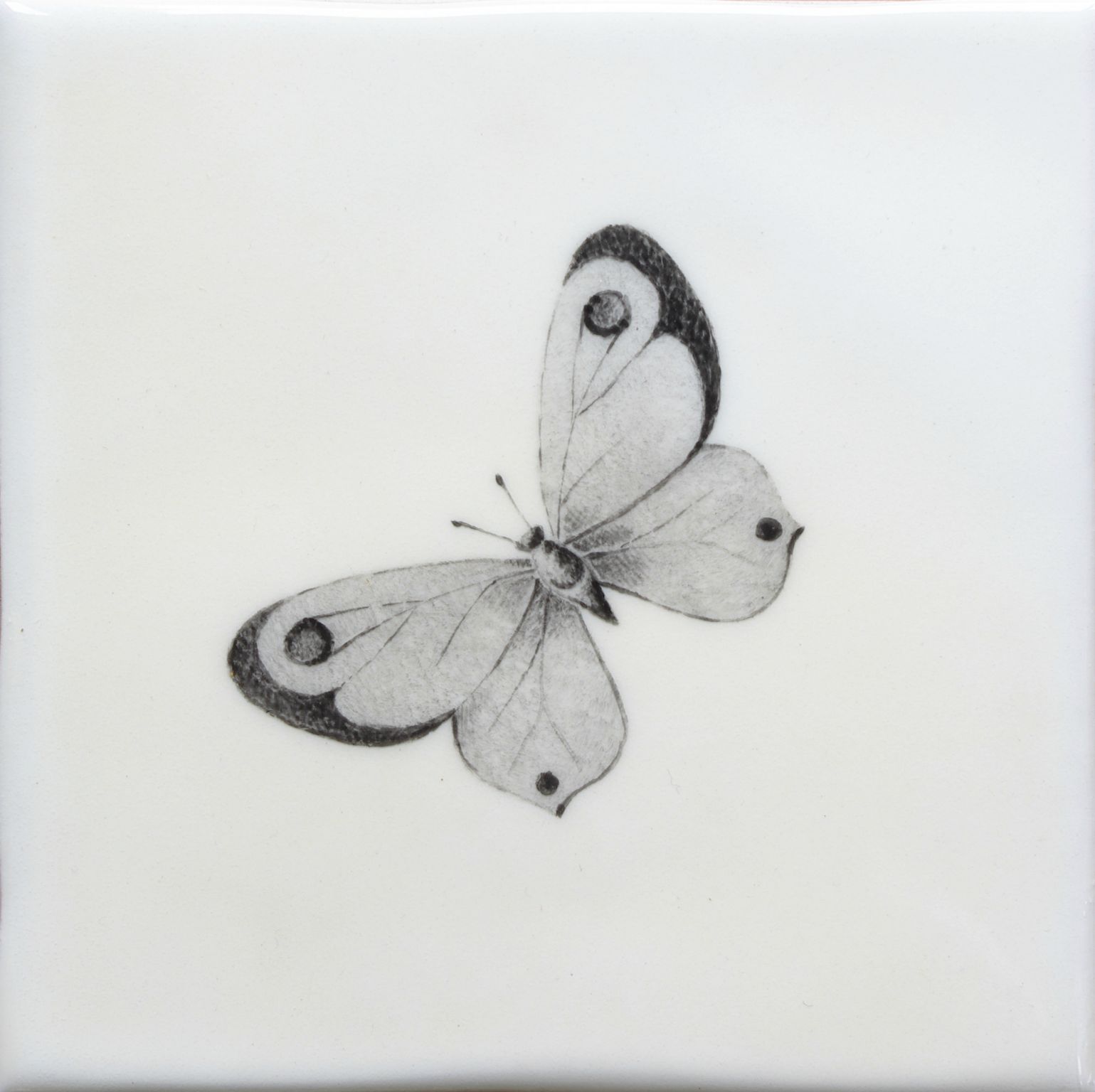 Hand painted Tiles - Bugs & Insects - Black & White Tiles of Stow