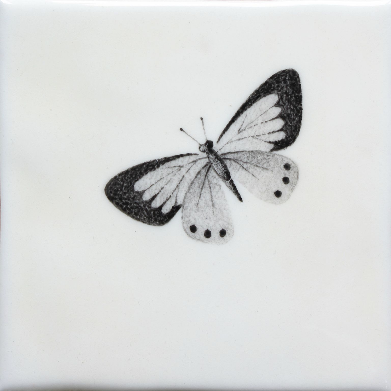 Hand painted Tiles - Bugs & Insects - Black & White Tiles of Stow