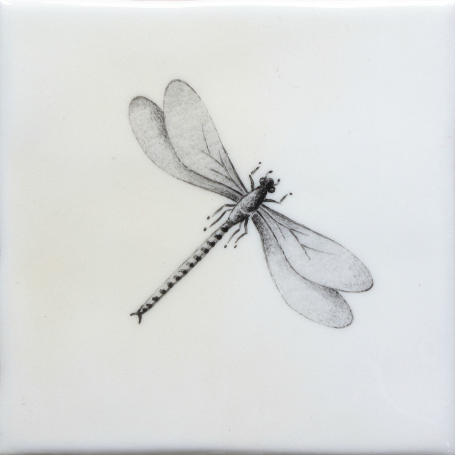 Hand painted Tiles - Bugs & Insects - Black & White Tiles of Stow