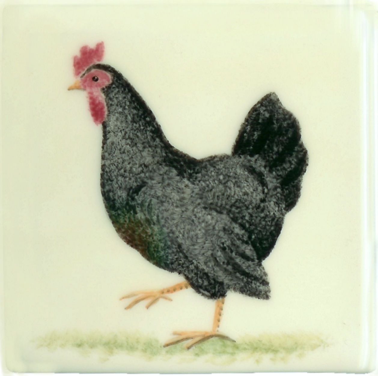 Hand painted Tiles - Langshan Hen - Tiles of Stow