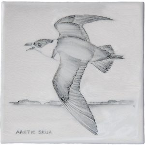 Hand painted Tiles - Coastal Birds - Tiles of Stow
