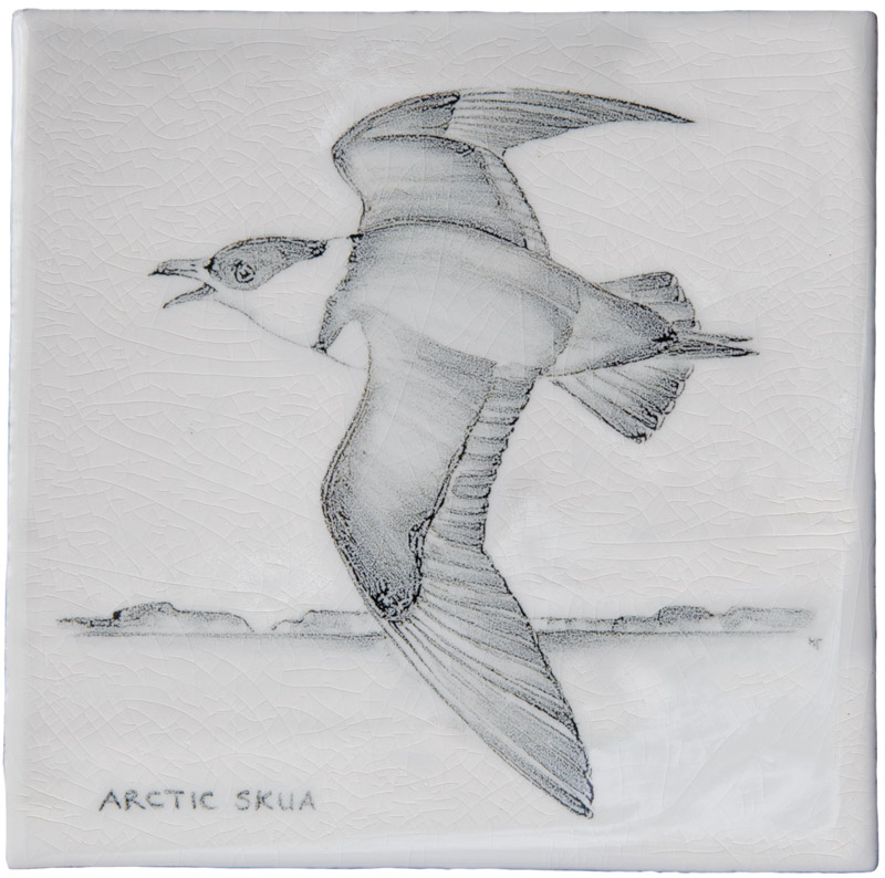 Hand painted Tiles - Coastal Birds - Tiles of Stow