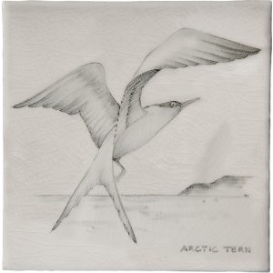 Hand painted Tiles - Coastal Birds - Tiles of Stow