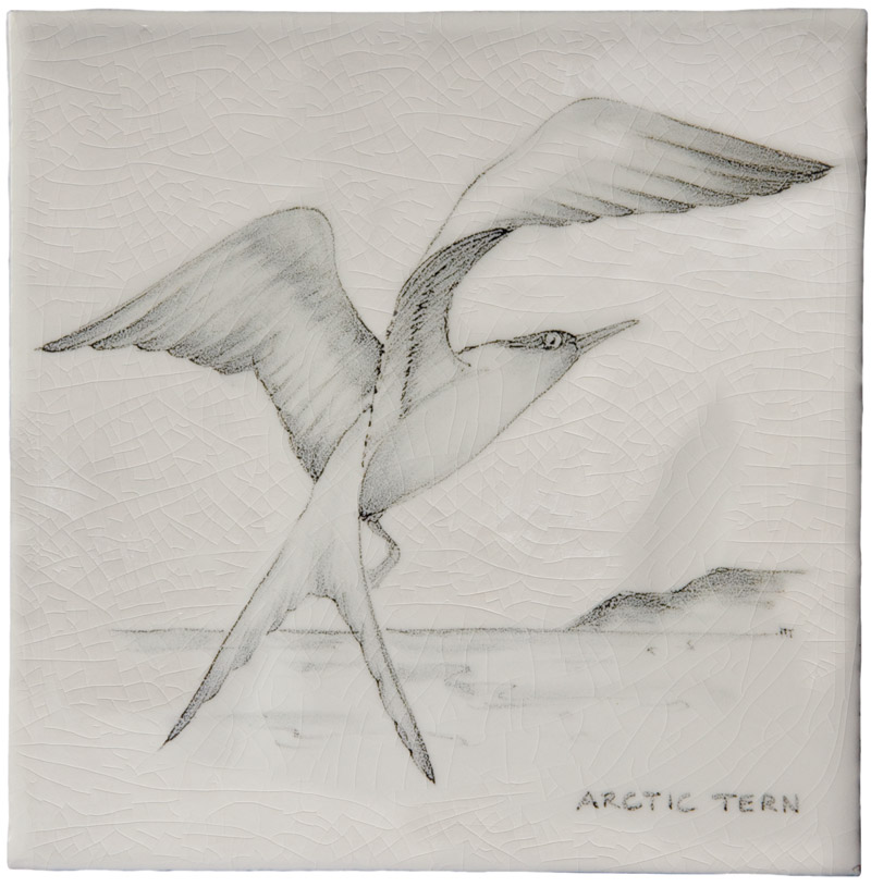 Hand painted Tiles - Coastal Birds - Tiles of Stow