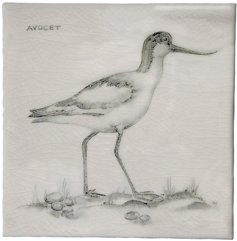 Hand painted Tiles - Coastal Birds - Tiles of Stow