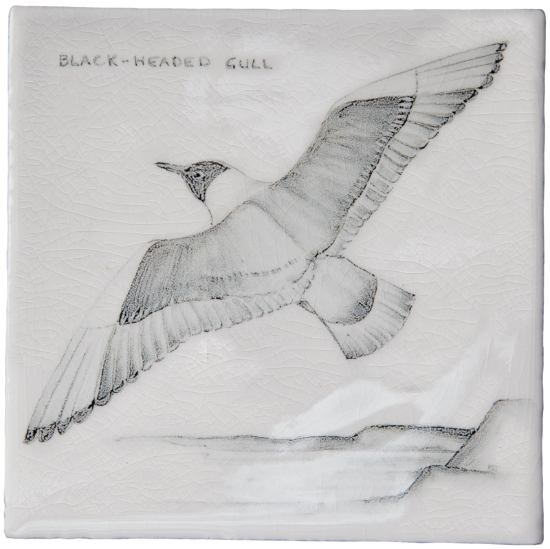 Hand painted Tiles - Coastal Birds - Tiles of Stow