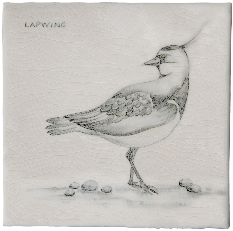 Hand painted Tiles - Coastal Birds - Tiles of Stow