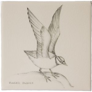 Hand painted Tiles - Coastal Birds - Tiles of Stow