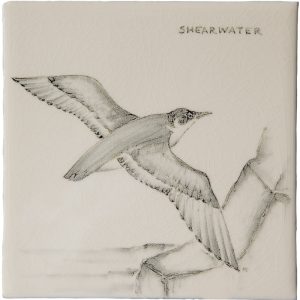 Hand painted Tiles - Coastal Birds - Tiles of Stow