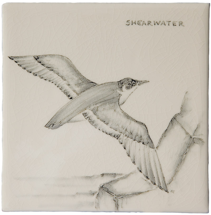 Hand painted Tiles - Coastal Birds - Tiles of Stow