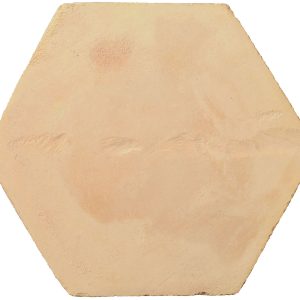 Hand Made Terracotta Hexagon 20x20