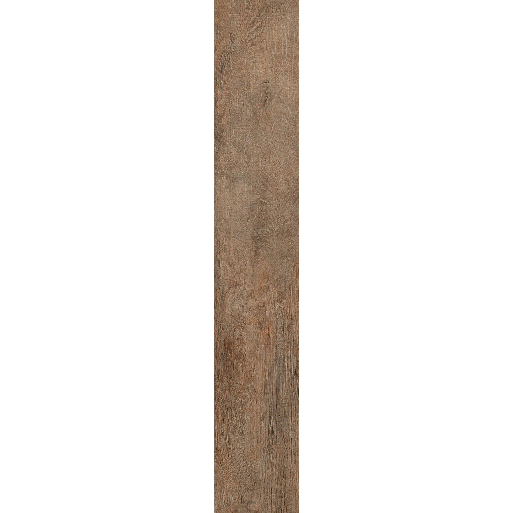 Porcelain Planks - Twelvenoon Honey