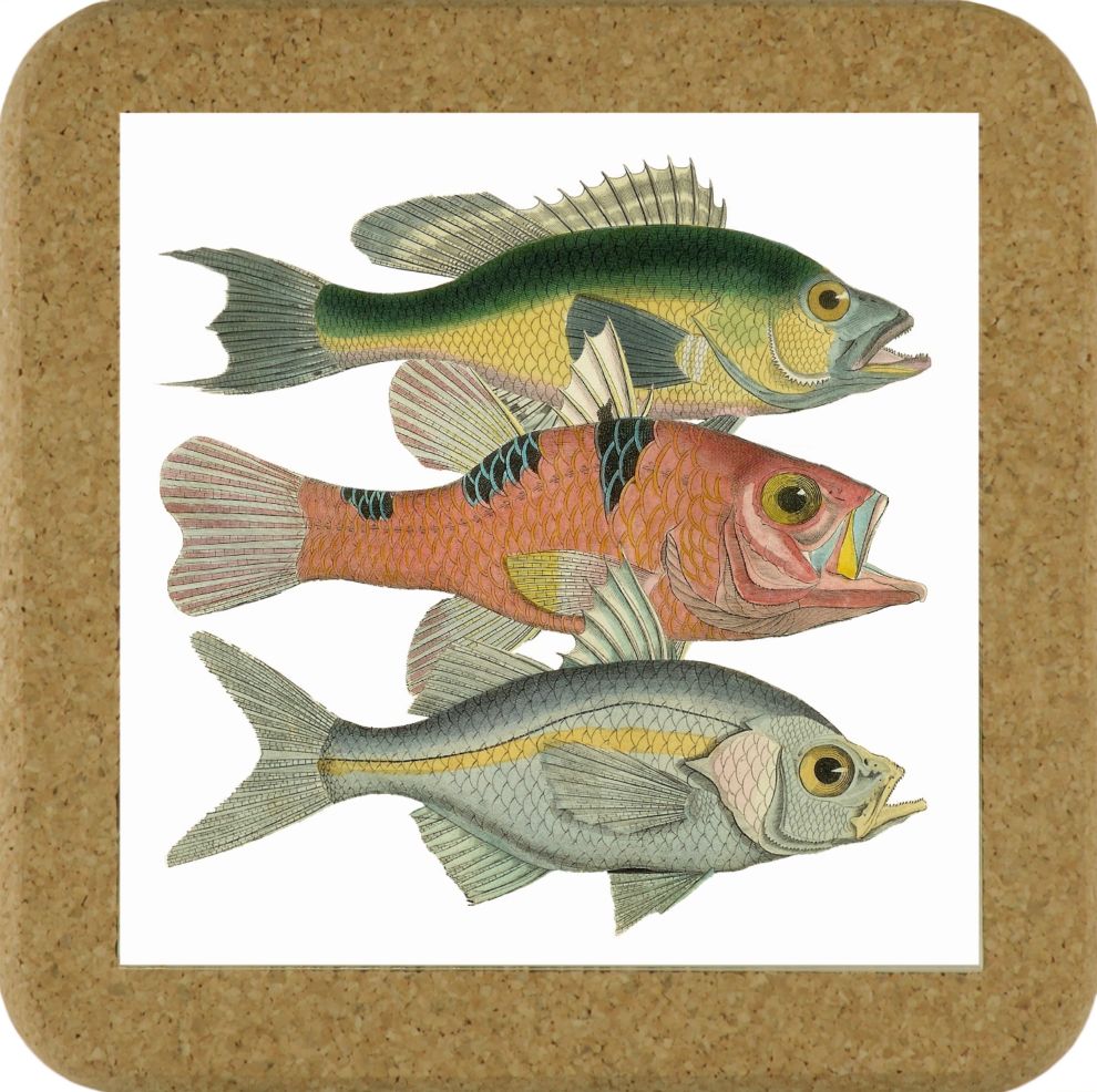 Fish Tile Mats - Fish #1