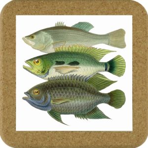 Fish Tile Mats - Fish #4