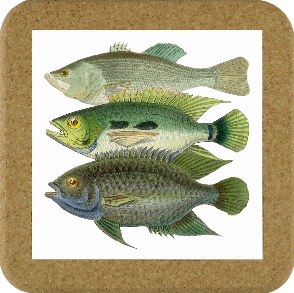 Fish Tile Mats - Fish #4