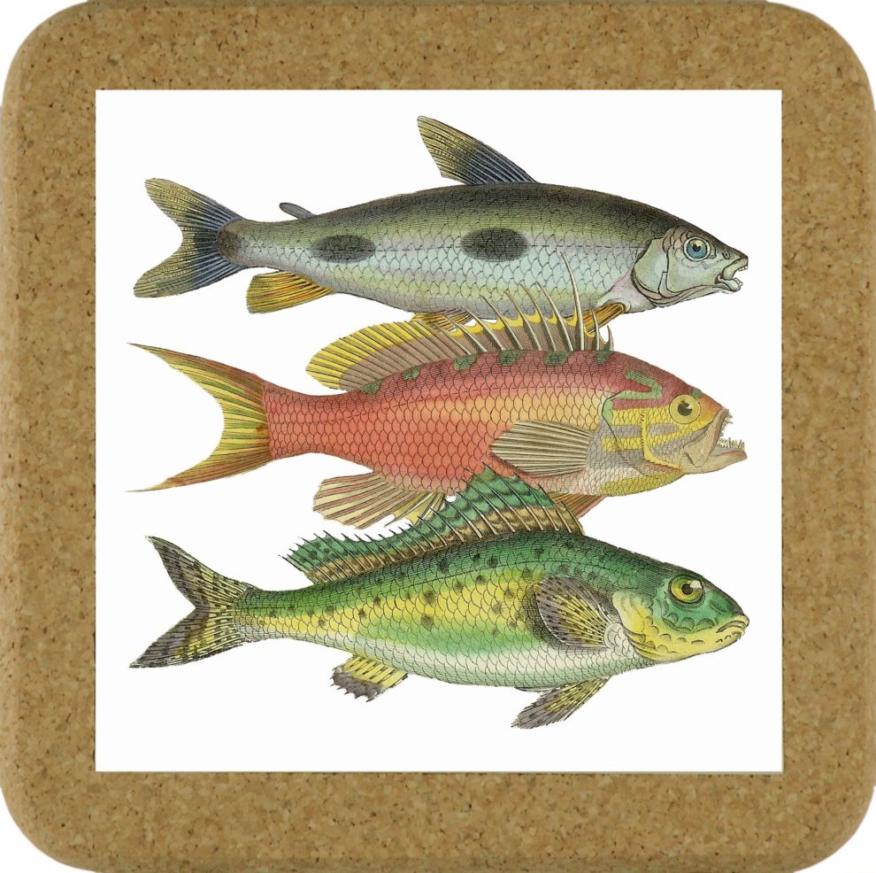 Fish Tile Mats - Fish #5