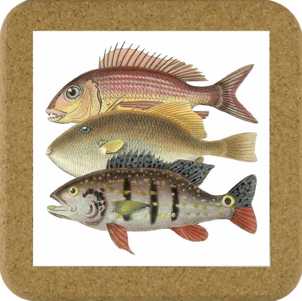 Fish Tile Mats - Fish #6
