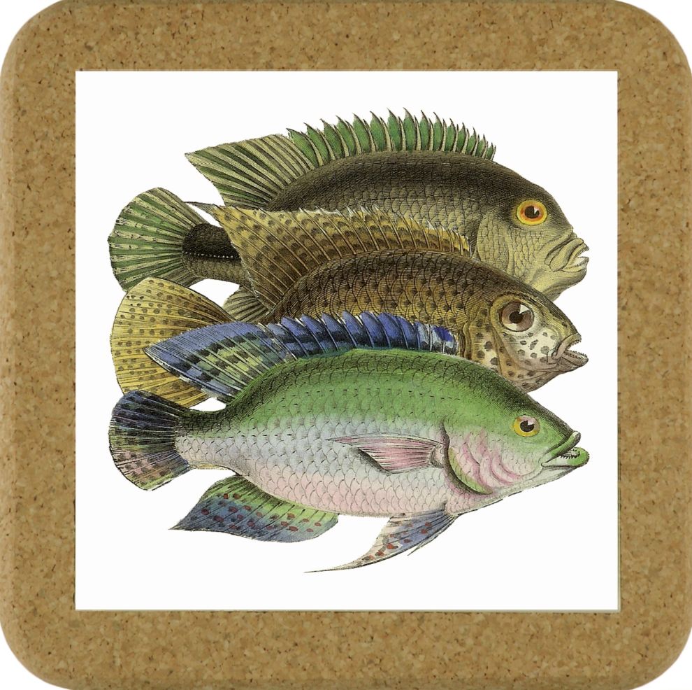 Fish Tile Mats - Fish #7