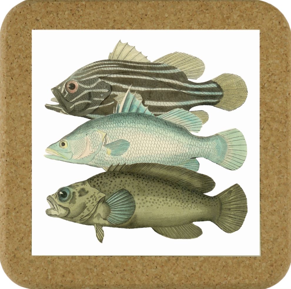 Fish Tile Mats - Fish #8