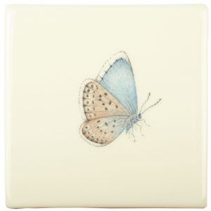 Hand painted Tiles - Bugs & Insects Bee Meadow Blue Butterfly - Tiles of Stow