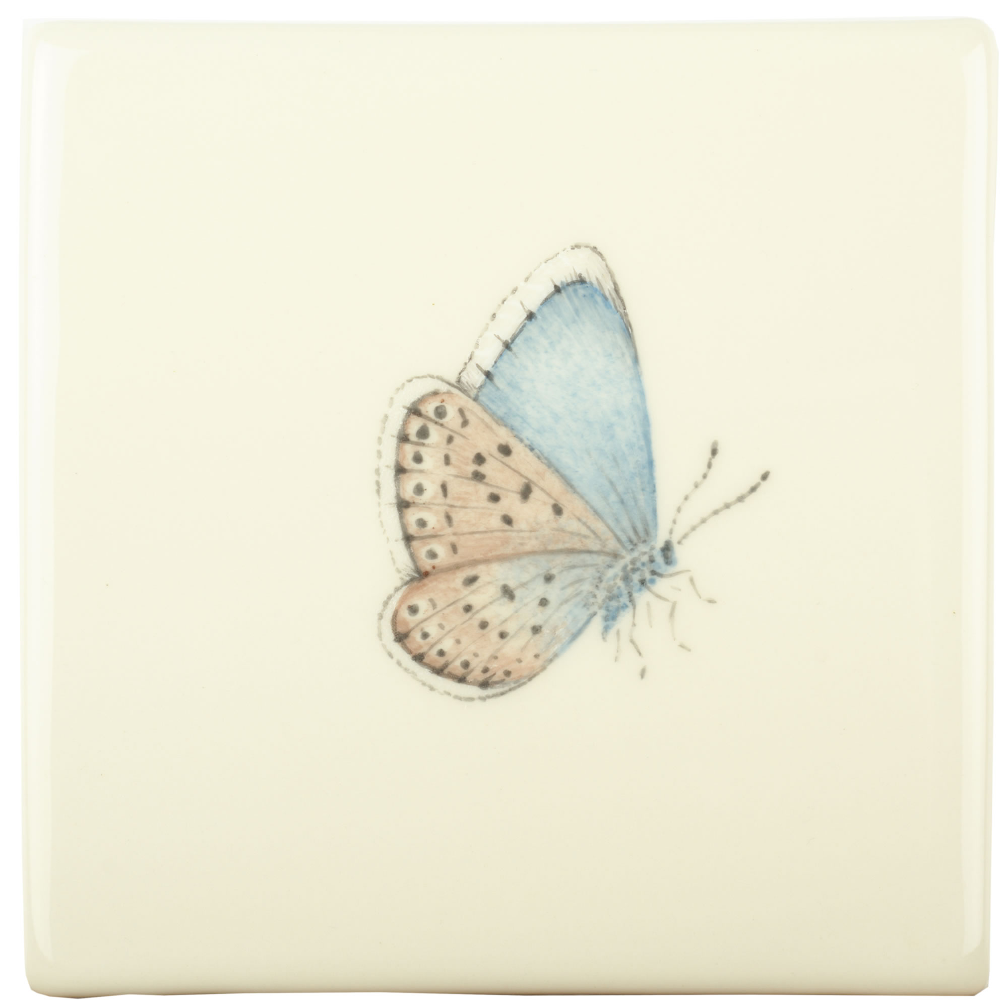 Hand painted Tiles - Bugs & Insects Bee Meadow Blue Butterfly - Tiles of Stow