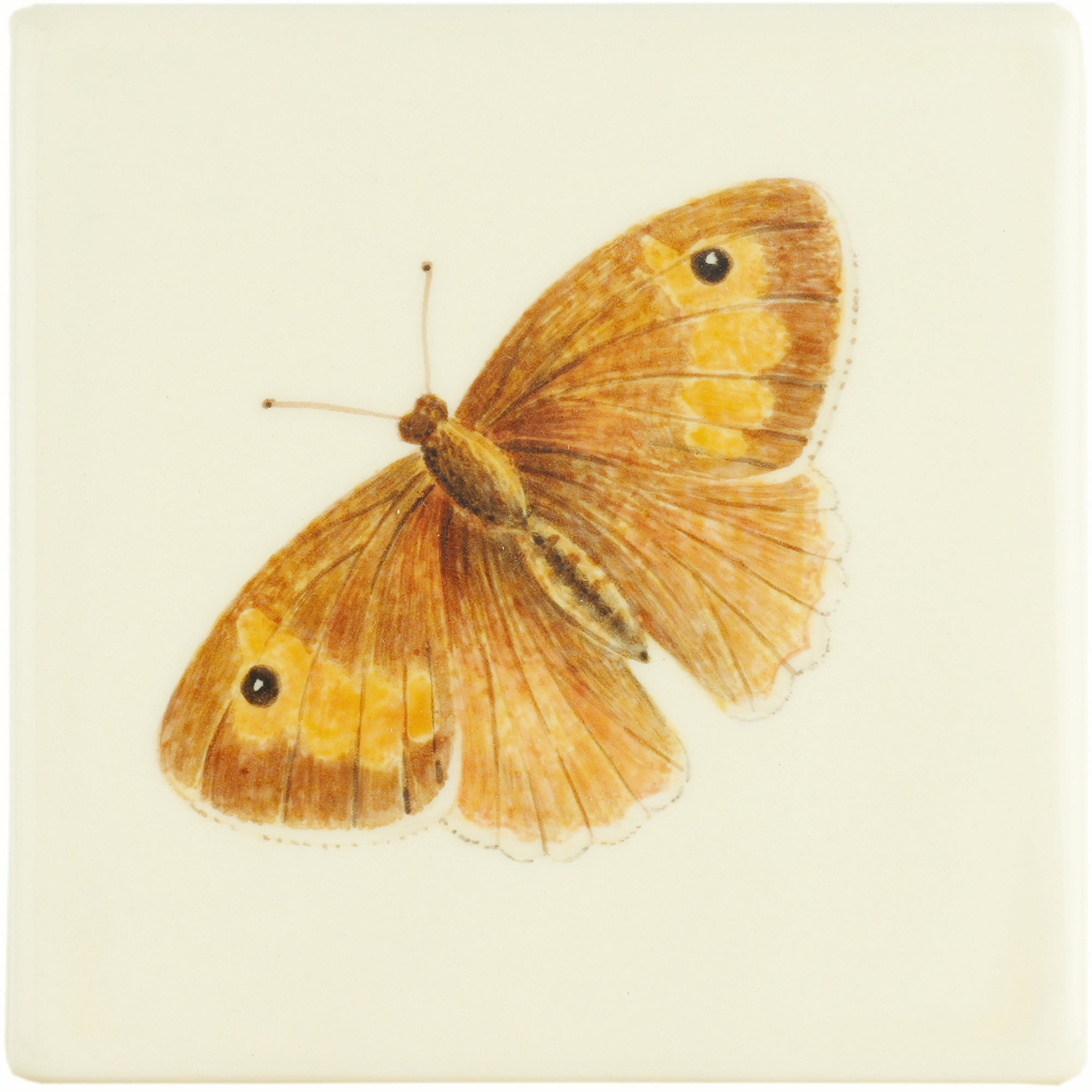 Hand painted Tiles - Bugs & Insects Terracotta Butterfly - Tiles of Stow