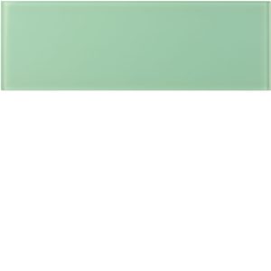 Columbia Long Brick Glass Tiles - Tiles of Stow