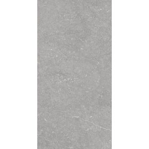 Munich-Pearl-Pressed-Ceramic-25x50x7.2-mm-MNC1006