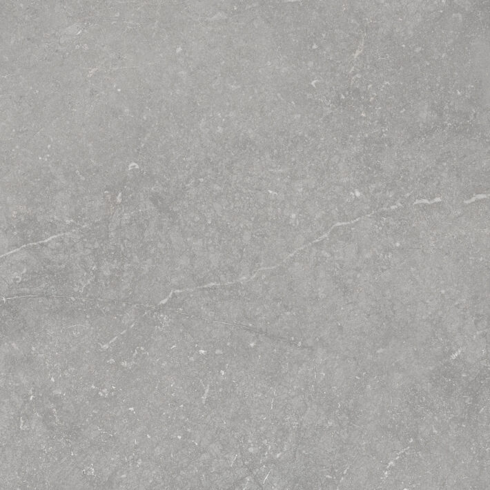 Munich-Pearl-Pressed-Porcelain-60x60x9-mm-MNC1008