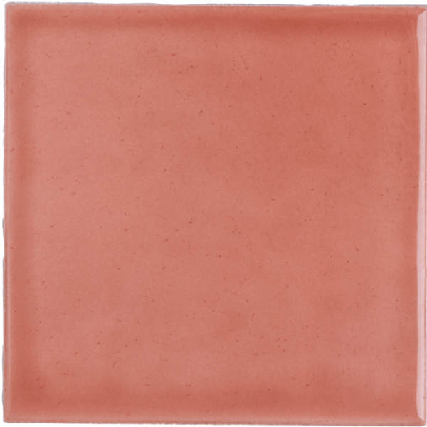 Chroma Bleached Coral