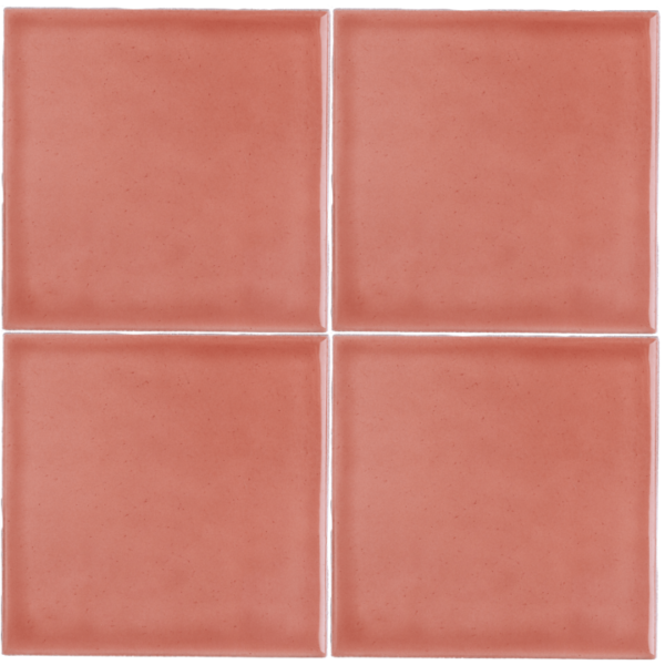 Chroma Bleached Coral - Image 3