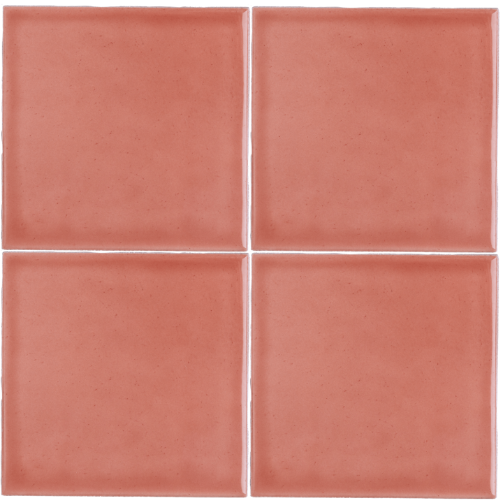 Chroma Bleached Coral - Image 3