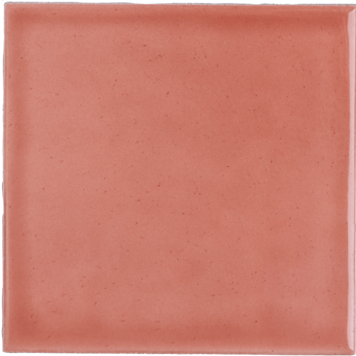 Chroma Bleached Coral