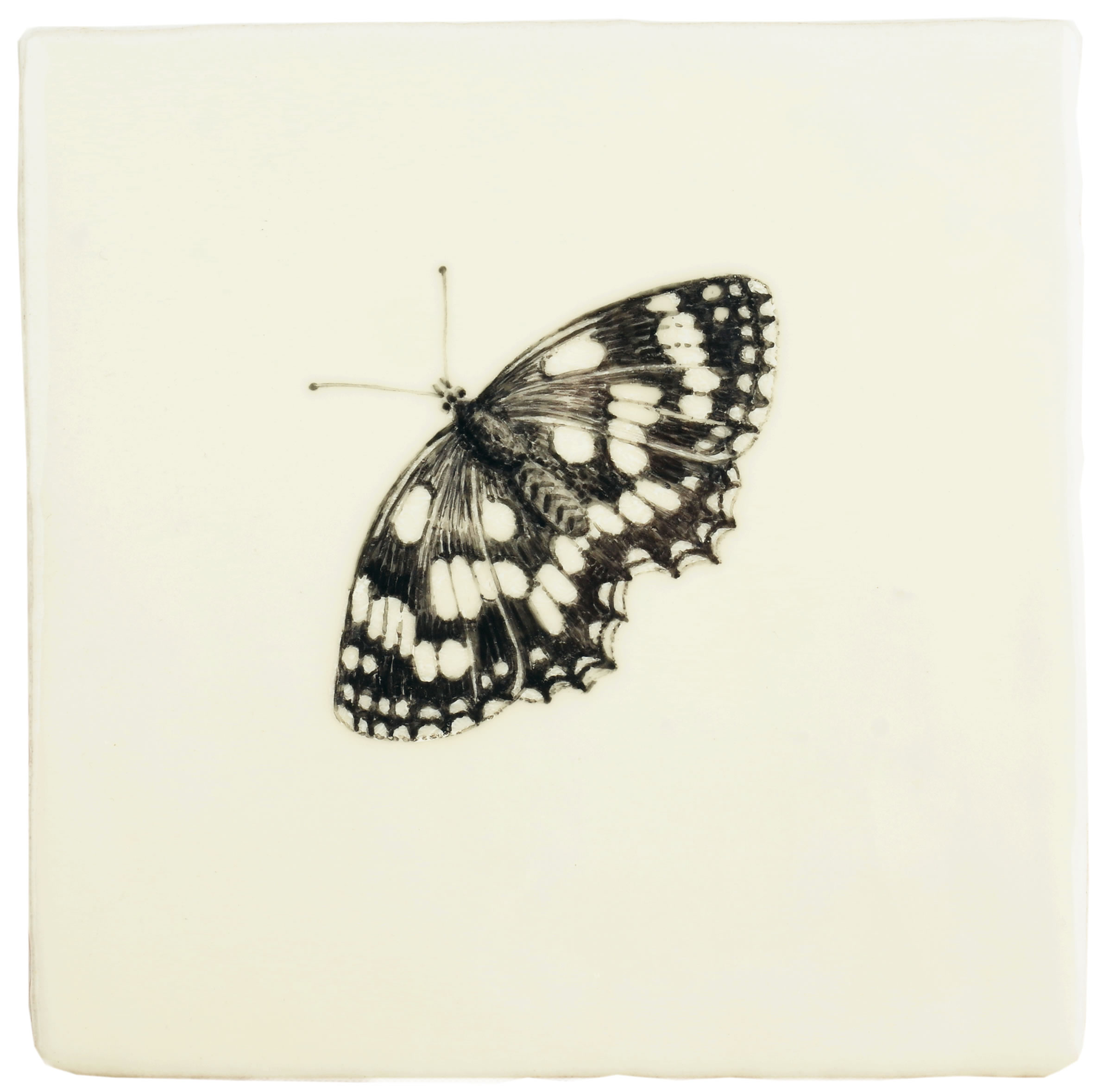 Hand painted Tiles - Bugs & Insects - Black & White Tiles of Stow